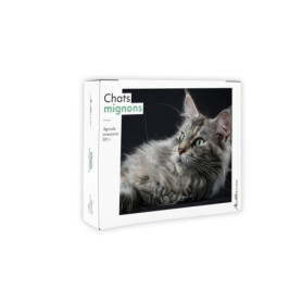 Semainier 2026 - Chats mignons Semainier 2026 - Chats mignons