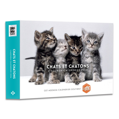 Agenda - Calendrier Chats et chatons 2026