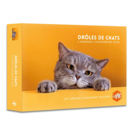 Agenda - Calendrier Drôles de chats 2026 Agenda - Calendrier Drôles de chats 2026