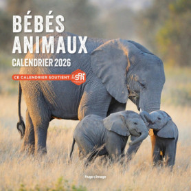 Calendrier mural Bébés Animaux 2026 Calendrier mural Bébés Animaux 2026