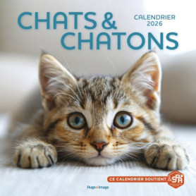 Calendrier mural Chats et Chatons 2026 Calendrier mural Chats et Chatons 2026