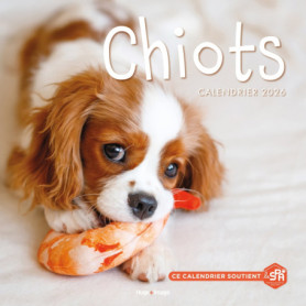 Calendrier mural Chiots 2026 Calendrier mural Chiots 2026