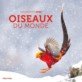 Calendrier mural Oiseaux du monde 2026 Calendrier mural Oiseaux du monde 2026