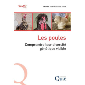 Les poules Les poules