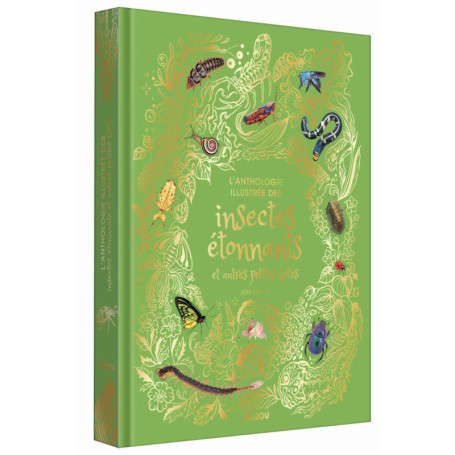 Anthologie illustrée des insectes étonnants et autres petites bêtes