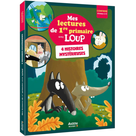 Quatre histoires mystérieuses - Niveau confirmé