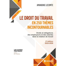Le droit du travail en 250 thèmes incontournables Le droit du travail en 250 thèmes incontournables