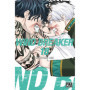Wind Breaker T18