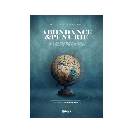 Abondance et pénurie