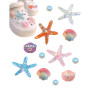 Tikono Lot de 12 breloques pour chaussures d'été, breloques de plage en plastique, jolie étoile de mer, coquillage, perles, déco