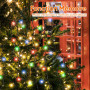 SALCAR Guirlande Lumineuse LED pour Sapin de Noêl, exterieur Etanche Guirlande LED Sapin Décoration (1,5-5m sapin) pour Décorati