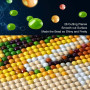 Diamond Painting Adulte 5D, Peinture Diamant Complet livres, Kit Diamond DIY avec Strass Cristal, Tableau Perle Diamant Déco Mur