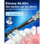 Brosse À Dent Électrique Soniques Adulte avec 8 Têtes - Brosse A Dent Sonique Adulte avec Étui de Voyage, 5 Modes, Étanche IPX7,