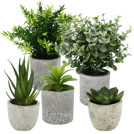 ZHYLUO 5 Pieces Plantes Artificielle, Mini Plantes artificielles Interieur Serpentine, Agave succulentes, Griffe d'aigle Aloe Ve