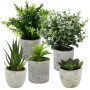 ZHYLUO 5 Pieces Plantes Artificielle, Mini Plantes artificielles Interieur Serpentine, Agave succulentes, Griffe d'aigle Aloe Ve