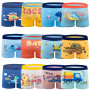 Cogindss Xmrlvn Boxer Enfant Garcon Calecon Enfant Culotte Garçon Animaux Mignons Coton,3-13 Ans