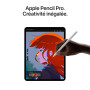 Apple iPad Pro 13 Pouces (M5) : Écran Ultra Retina XDR Verre Standard, 256 Go, Caméra Avant Horizontale 12 MP/Caméra arrière 12 