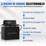 ECO-WORTHY 12V/24V 20A Chargeur de Batterie LiFePO4 avec Options Multi-Courant 5A/10A/15A/20A,détection Automatique de la Tensio