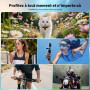 NinjaCam Mini Caméra Sport 4K WiFi, 360° Camera Vlog, Caméra d'action pour Casque de Moto, Bodycam Portable Étanche jusqu'à 30M,