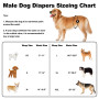 Couches lavables et réutilisables pour Chiens mâles, Pack de 3. Bandes Abdominales de Haute qualité pour Chiots Petits. Wraps tr