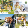 Couches lavables et réutilisables pour Chiens mâles, Pack de 3. Bandes Abdominales de Haute qualité pour Chiots Petits. Wraps tr