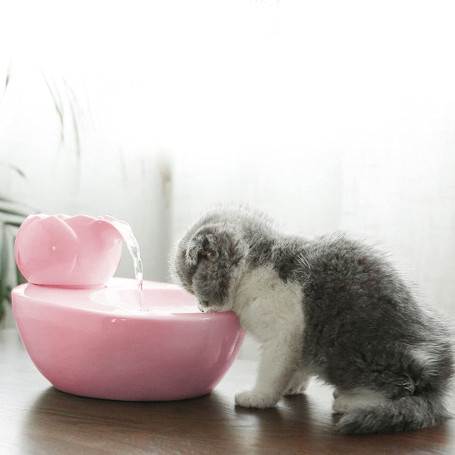 Fontaine a Eau Chat,Distributeur d'eau en céramique pour Animaux de