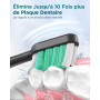 Brosse À Dent Électrique Soniques Adultes - Lot De 2 Brosse A Dent Sonique avec 10 Têtes de Brosse et Étui de Voyage, 5 Modes, É