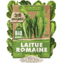 ZenGreens® - Kit de graines de herbes aromatiques & légumes bio - 100 variétés pour une culture facile dans le jardin, sur le ba
