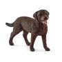 schleich Farm World Labrador Ret Femelle
