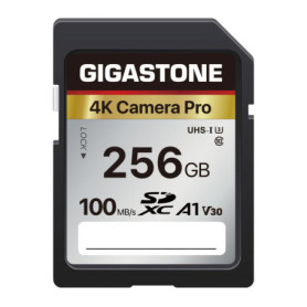 Gigastone Carte Mémoire SDXC 256 Go, 4K Pro Série, Vitesse de Transfert allant jusqu'à 100 Mo/s. Compatible avec Caméra Canon Ni
