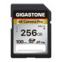 Gigastone Carte Mémoire SDXC 256 Go, 4K Pro Série, Vitesse de Transfert allant jusqu'à 100 Mo/s. Compatible avec Caméra Canon Ni