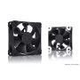 Noctua NF-A8 PWM chromax.black.swap, Ventilateur Silencieux Haut de Gamme, 4 Broches (80 mm, Noir)