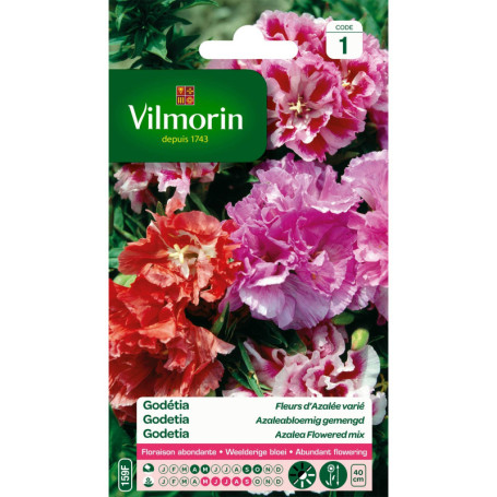 VILMORIN - Godétia Double à Fleurs d'Azalée en mélange- semences pour plantations - Fleurs Basses 40 cm annuelles - pour Un Jard