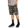 Quiksilver Homme Shorts de skateboard, Camo Print Crucial Battle, 31