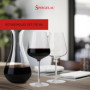 Spiegelau & Nachtmann 1350165 - Lot de 2 verres de Bordeaux en cristal - 750 ml - Definition