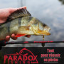 Paradox Fishing Lot de 24 hameçons Offset de qualité supérieure (5 g/7 g/10 g/ 12g 14 g) - 5 ou 4 pièces avec 1- Hameçons Offset