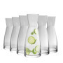 Bormioli Rocco Ypsilon Carafe Décanteur 550ml - Lot de 6