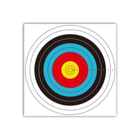 Cibles de tir à l'arc 40 cm x 40 cm Norme Internationale 10 Anneaux en Papier cibles 30 pièces