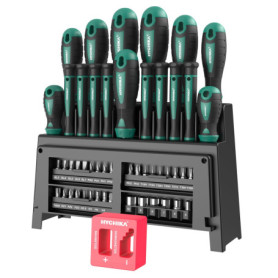 HYCHIKA 51 Pcs Kit Tournevis, Lot Tournevis Magnétique, Comprenant Tournevis de Précision, Tournevis Cruciforme, Tournevis Plat,
