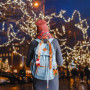 Chennyfun Calendrier de l'Avent de Noël 2024, Compte à Rebours Noël avec 24 Peluche Mignonnes, Décorations De Noël, Cadeaux d’An