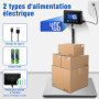 RAOYAN Balance Colis 300kg avec Haute Précision 20g, Pèse Colis Professionnel, Grand Écran LCD, Fonction Tarage, Alimentation su