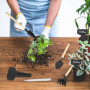 Lot de 100 étiquettes pour plantes - Résistantes aux intempéries - Avec 3 petites pelles de jardin et 2 marqueurs - Pour légumes