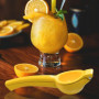 UDNFHL Juicer Au Citron en 2 Pièces, Durable Et Multifonctional Metal Fruit Juicer, Manuel, Outils De Cuisine.