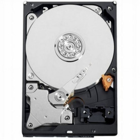 Western Digital Caviar Green WD10EADS Disque dur Interne 3,5 " SATA II Intellipower Mémoire cache 32 Mo 1 To