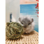 Camiter 6 Pièces Boule d'herbe de Timothy, Jouets Mâcher Hamster, Jouets à Mâcher pour Petits Animaux, pour Lapins Hamsters Chin