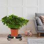 Fousenuk Porte Plante a Roulettes Réglable 40-58.5cm, Support de Pot de Fleur Rond Capacité Charge 250 kg, Plateau Roulant Noir 
