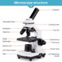 BEBANG 100X-2000X Microscope pour Enfants Adultes, Professionnel Biologique Microscope pour Etudiants Scolaire Laboratoire
