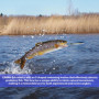 LEKEFETO Lot de 5 leurres de pêche avec 2 hameçons triples et boîte de rangement - Pour la pêche en eau douce et en eau de mer -