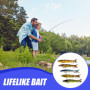 LEKEFETO Lot de 5 leurres de pêche avec 2 hameçons triples et boîte de rangement - Pour la pêche en eau douce et en eau de mer -