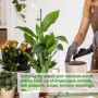 Tuteurs pour Plantes,20 Pièces Tuteur Plante Interieur, 20 Tiges de Plantes Clips, 10 Tiges Tube d'extension, Attache Plante, Tu